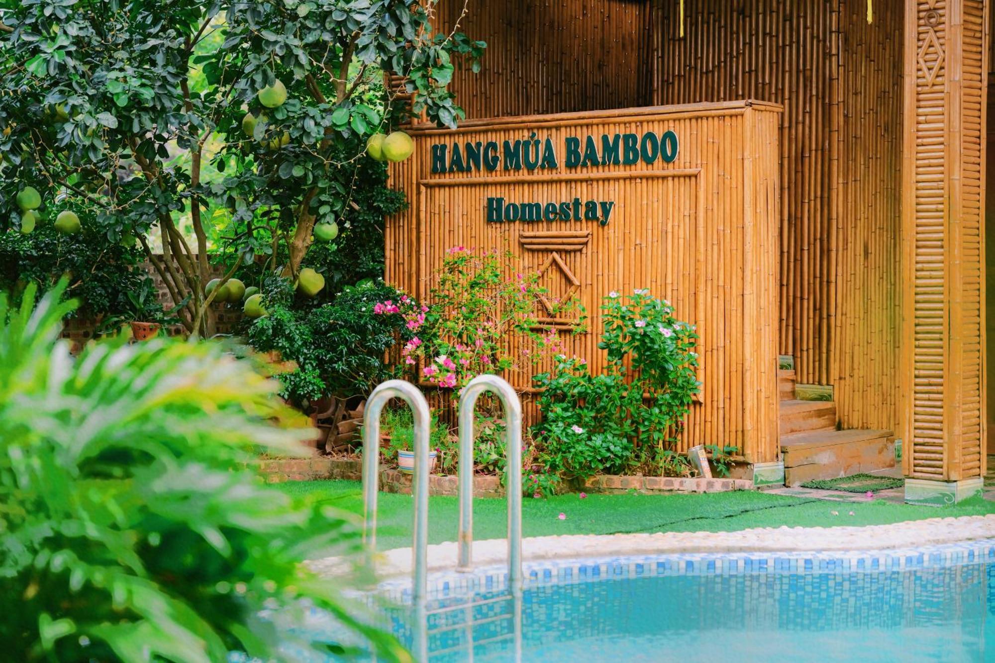 Hang Mua Bamboo Homestay نينه بينه المظهر الخارجي الصورة